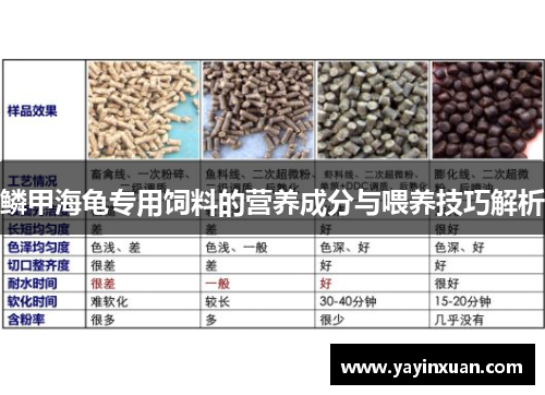 鳞甲海龟专用饲料的营养成分与喂养技巧解析