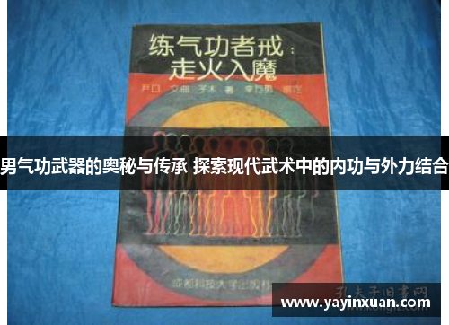 男气功武器的奥秘与传承 探索现代武术中的内功与外力结合