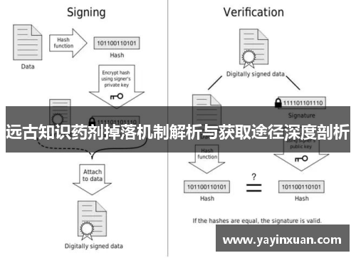 远古知识药剂掉落机制解析与获取途径深度剖析